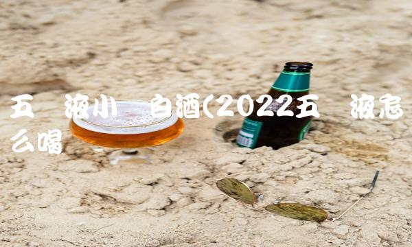 五粮液小谱白酒(2022五粮液怎么喝