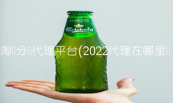 淘宝分销代理平台(2022代理在哪里买