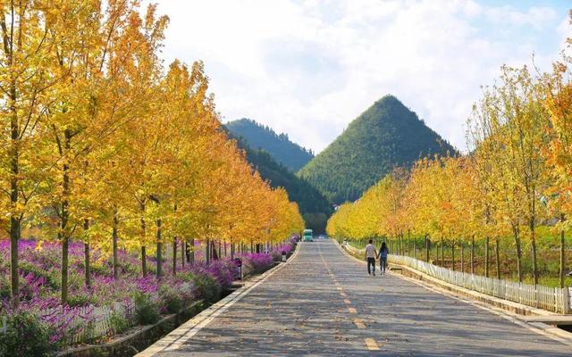 贵州这个以酒名字命名的景区，如诗如画的风景，吸引无数游客前往