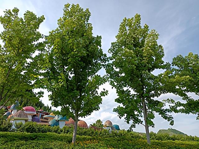 贵州这个以酒名字命名的景区，如诗如画的风景，吸引无数游客前往